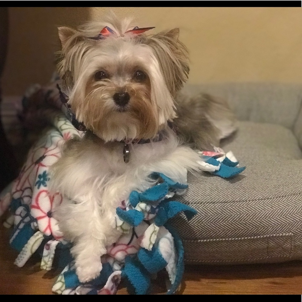 Meet your Posher, Heather